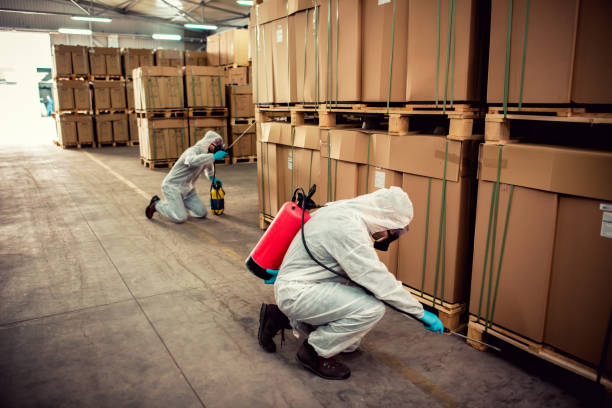 Best Pest Control Near Me in Booneville, AR