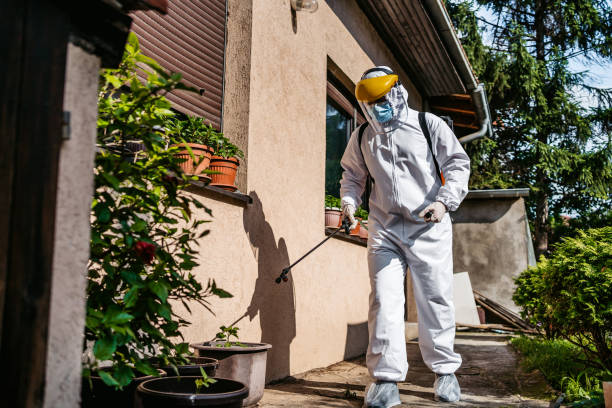 Best Residential Pest Control  in Booneville, AR