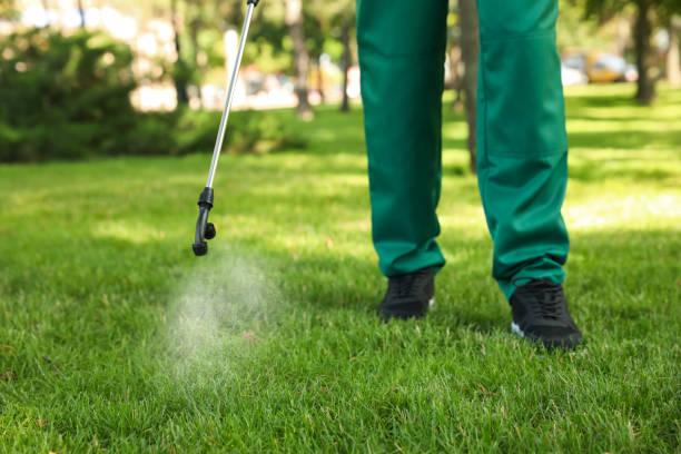 Pest Control for Restaurants in Booneville, AR