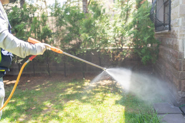 Best Cockroach Control Services  in Booneville, AR