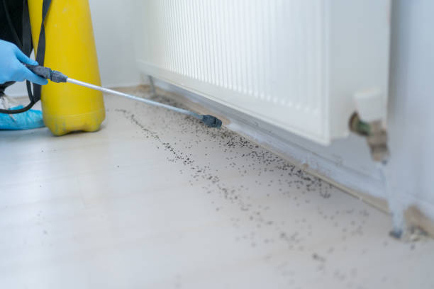Best Emergency Pest Control  in Booneville, AR